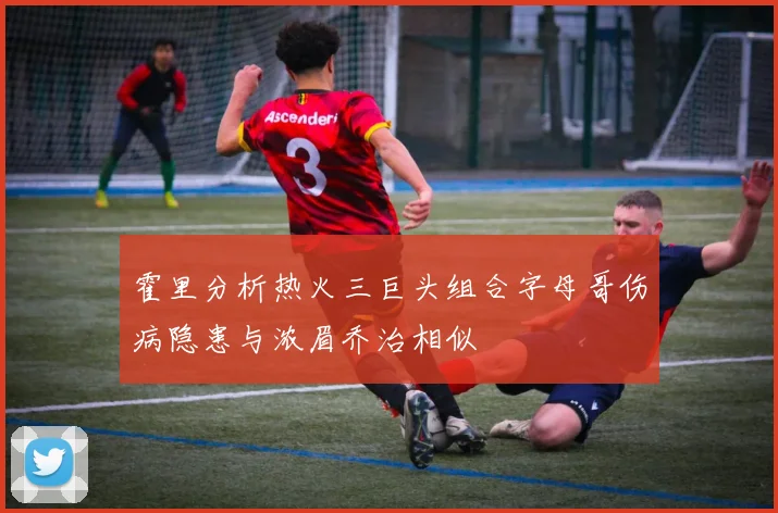 霍里分析热火三巨头组合字母哥伤病隐患与浓眉乔治相似